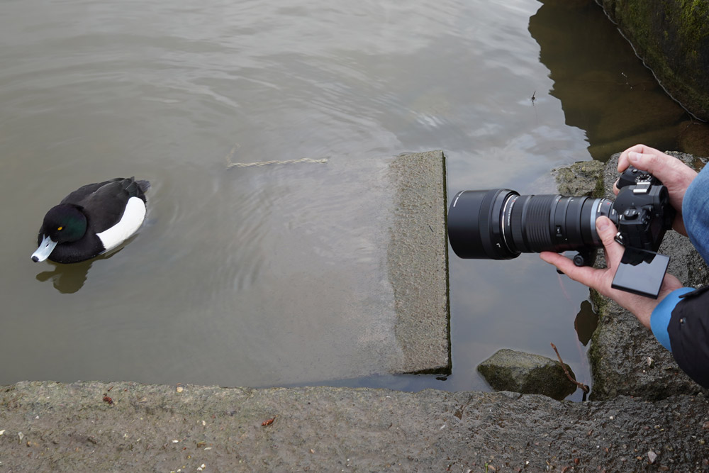 The vari-angle touchscreen makes it easier to shoot at low-angles